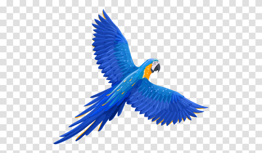 Parrot, Animals, Bird, Macaw, Flying Transparent Png