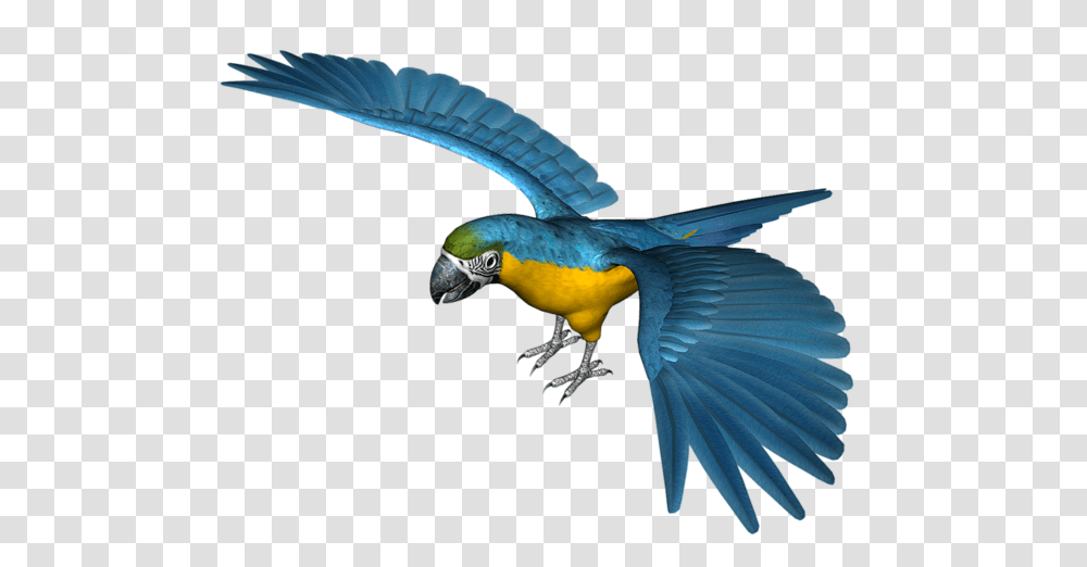 Parrot, Animals, Bird, Macaw, Flying Transparent Png