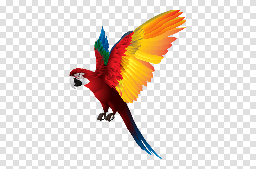 Parrot, Animals, Bird, Macaw, Flying Transparent Png