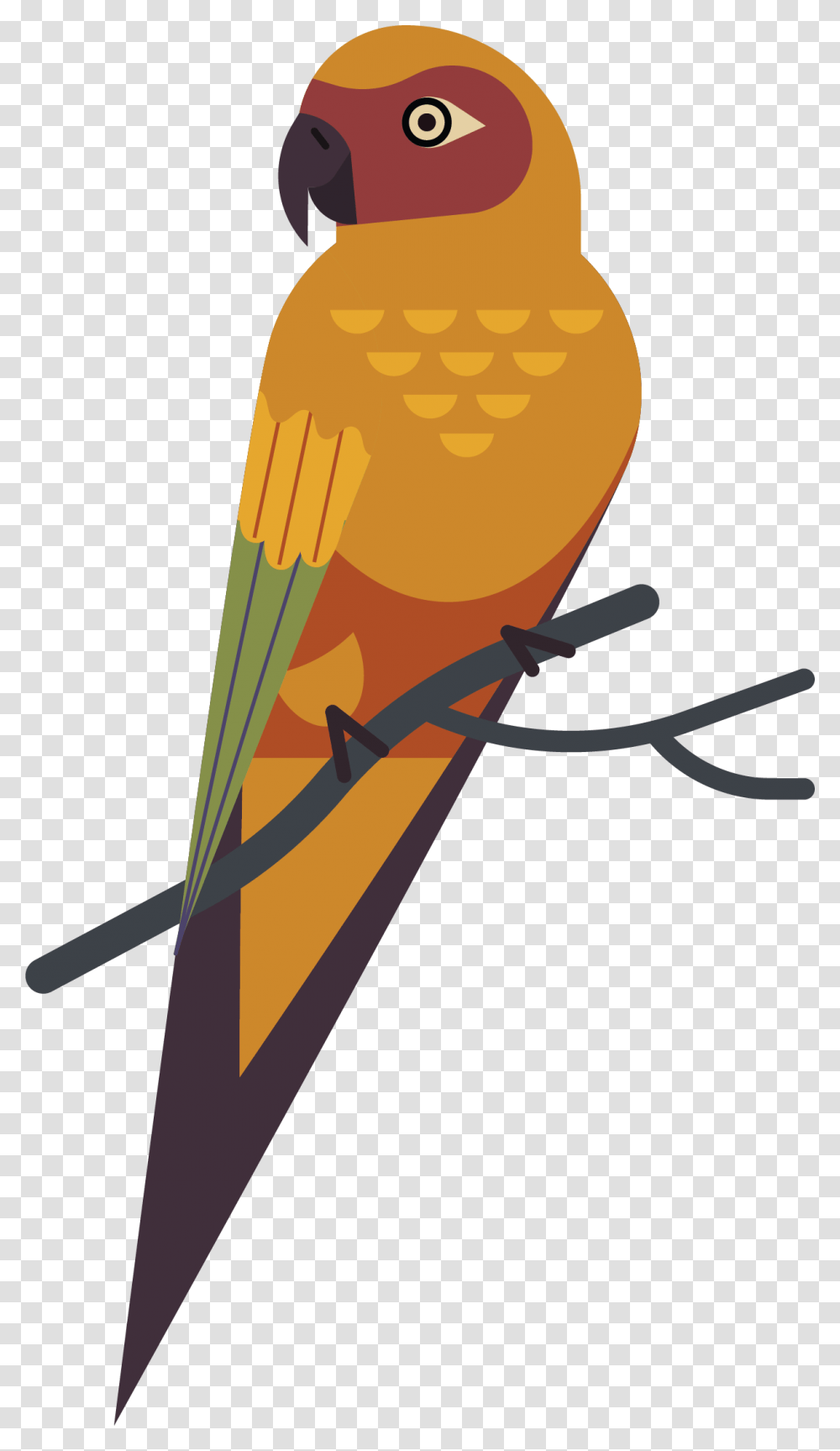 Parrot, Arrow, Bird Transparent Png