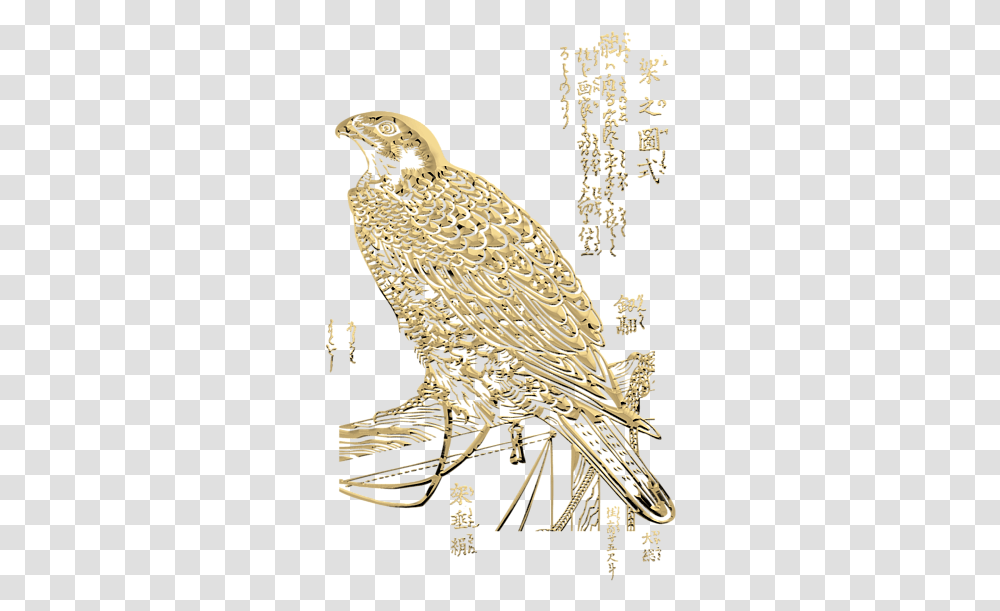 Parrot, Bird, Animal, Beak, Eagle Transparent Png