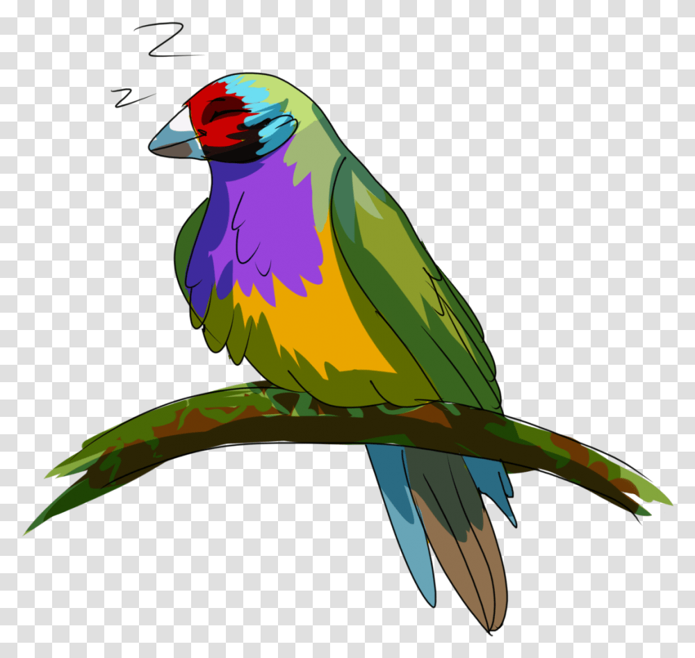 Parrot, Bird, Animal, Macaw, Parakeet Transparent Png