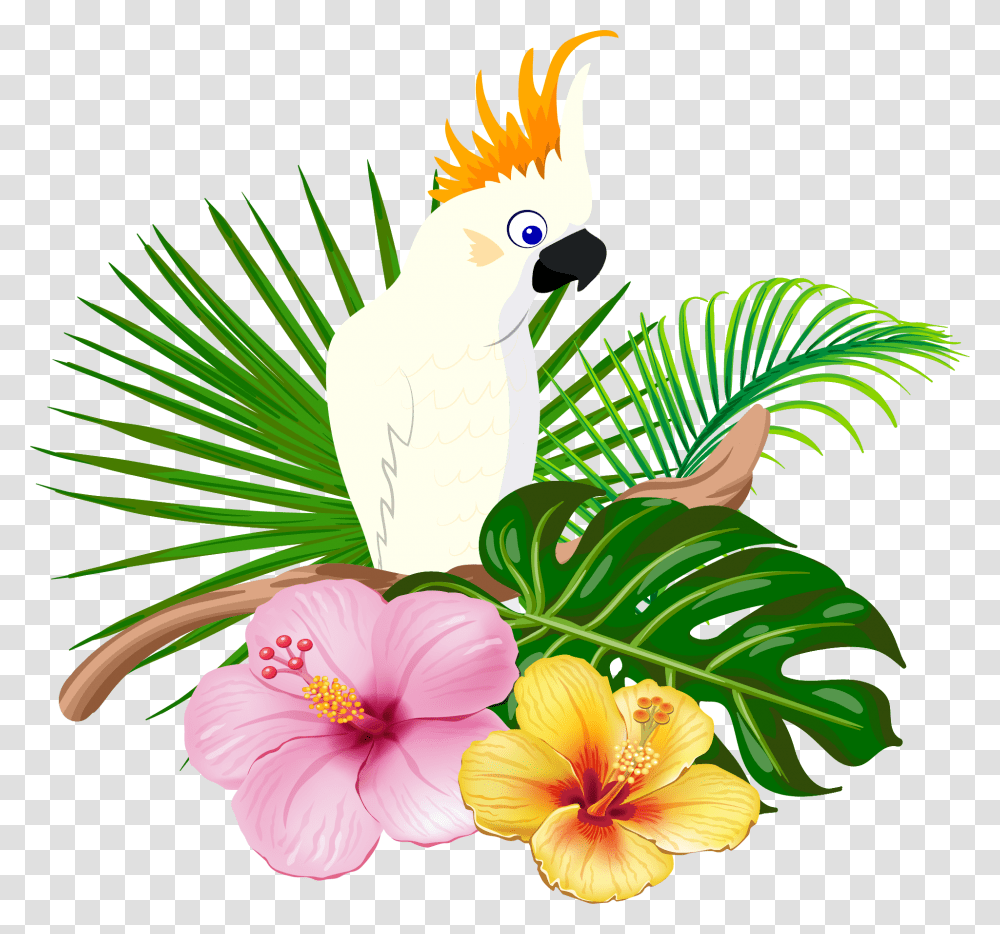 Parrot Bird Floral Design Free Hawaiian Bird Clipart, Animal, Cockatoo, Plant Transparent Png