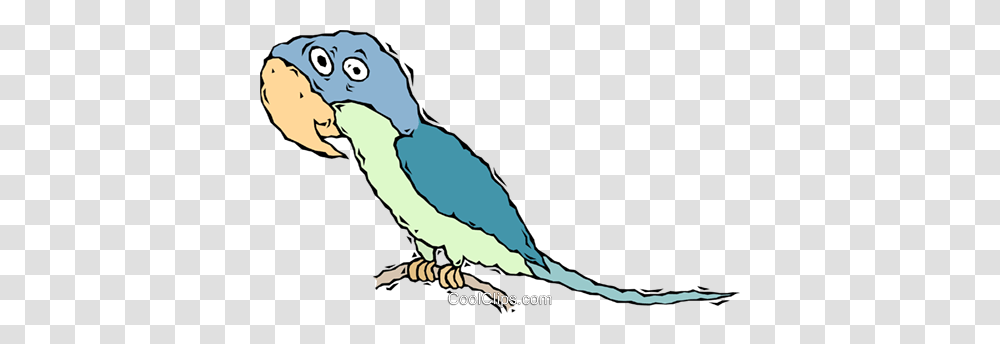 Parrot Bird Royalty Free Vector Clip Art Illustration, Animal, Vulture, Parakeet Transparent Png
