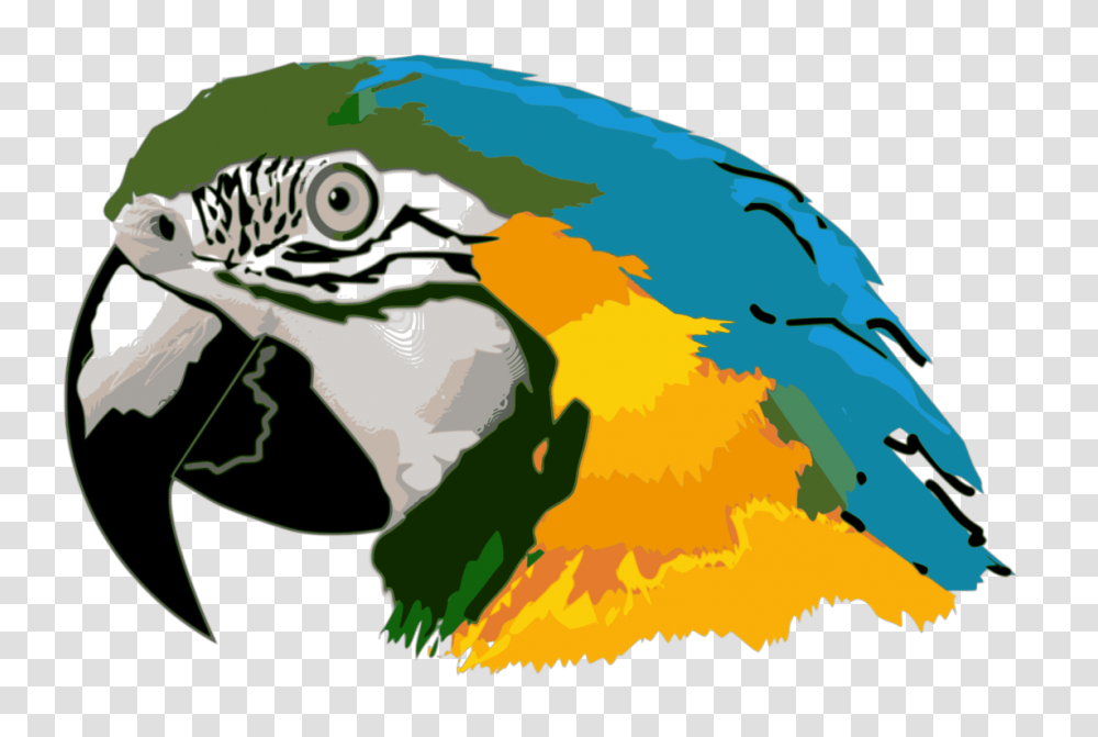 Parrot Blue And Yellow Macaw Bird Budgerigar, Animal, Reptile, Diagram, Sea Life Transparent Png