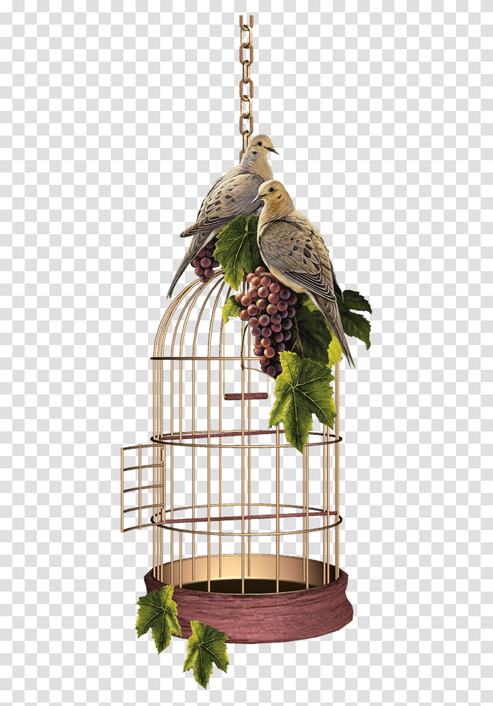 Parrot Cage Gif Birdcage, Plant, Animal, Grapes, Fruit Transparent Png