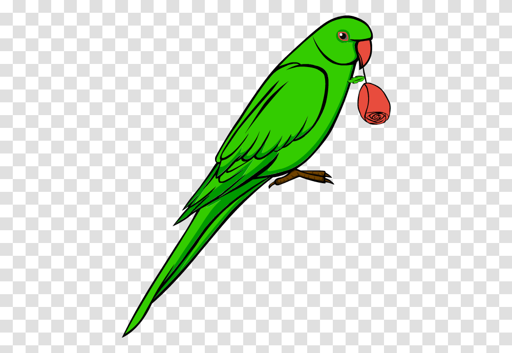Parrot Clip Art, Bird, Animal, Parakeet Transparent Png