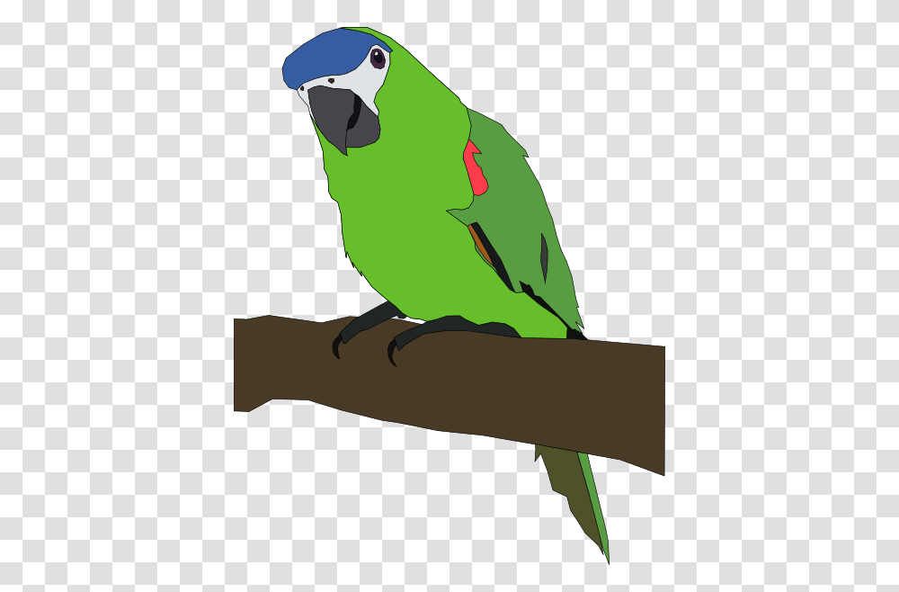 Parrot Clip Art For Web, Animal, Bird, Parakeet Transparent Png