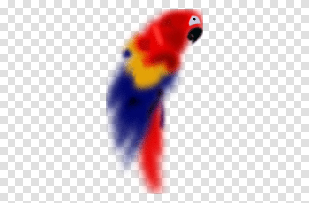 Parrot Clip Art Free Vector, Animal, Bird, Person Transparent Png