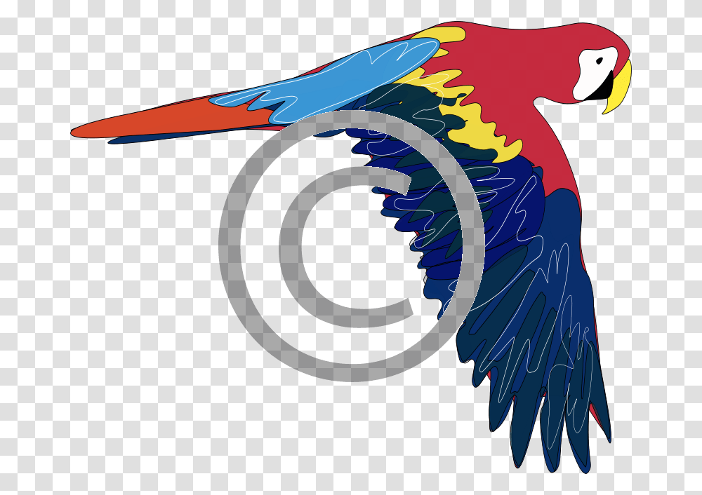 Parrot Clip Art, Animal, Bird Transparent Png