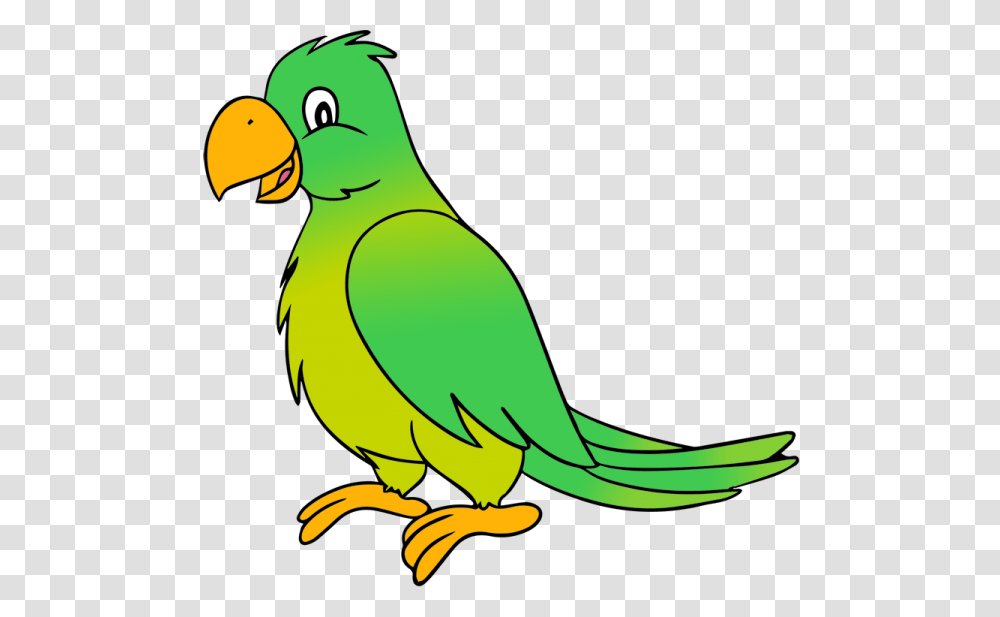 Parrot Clip Art, Parakeet, Bird, Animal, Banana Transparent Png