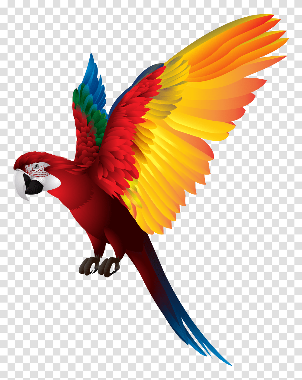 Parrot Clip Art Transparent Png