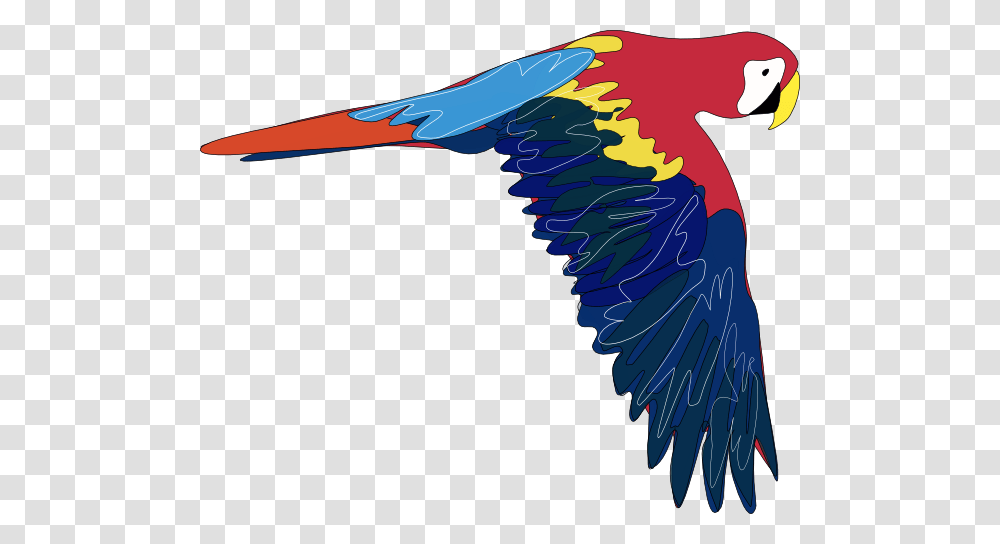 Parrot Clip Arts Download, Macaw, Bird, Animal, Flying Transparent Png