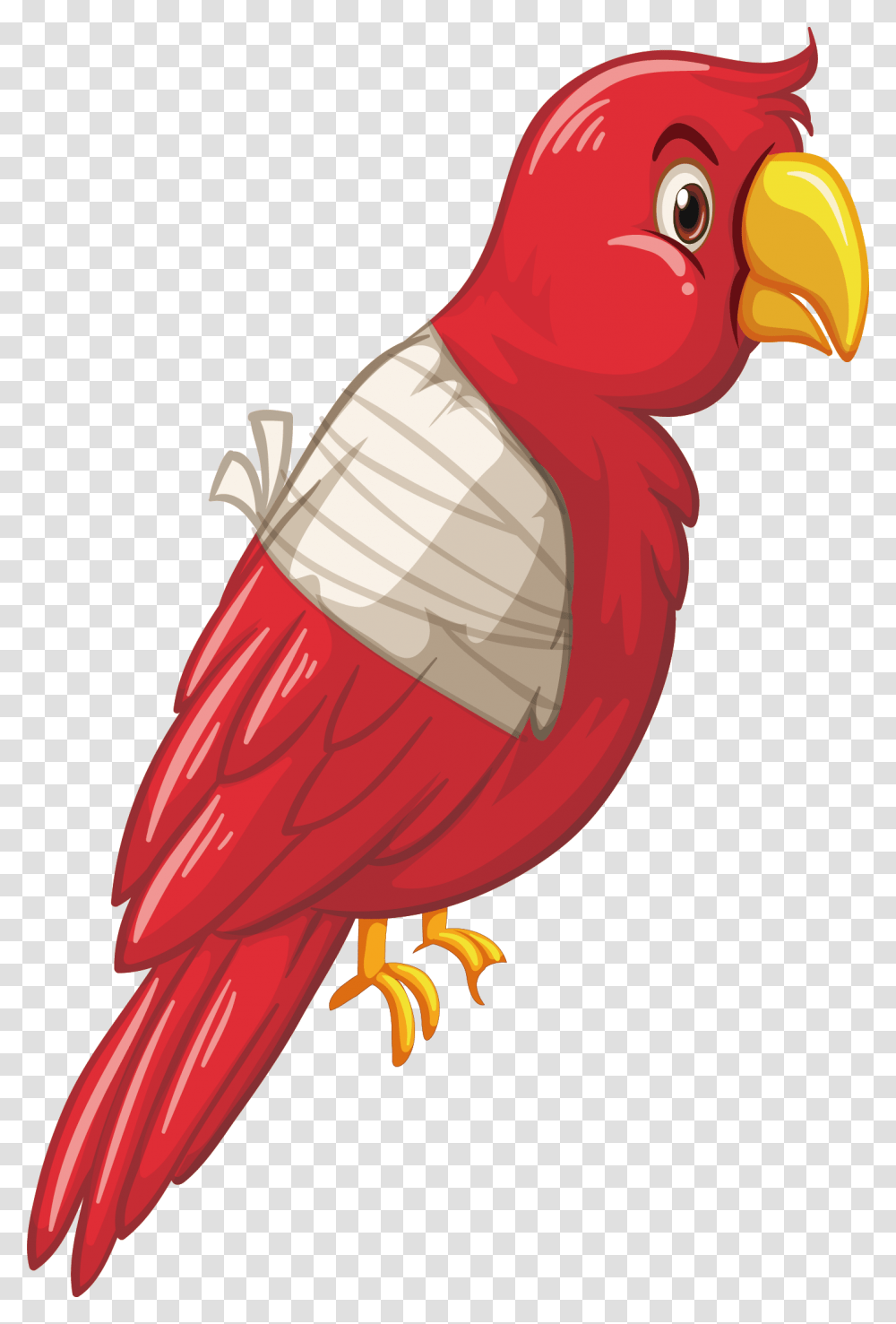 Parrot Clipart, Bird, Animal, Beak, Finch Transparent Png