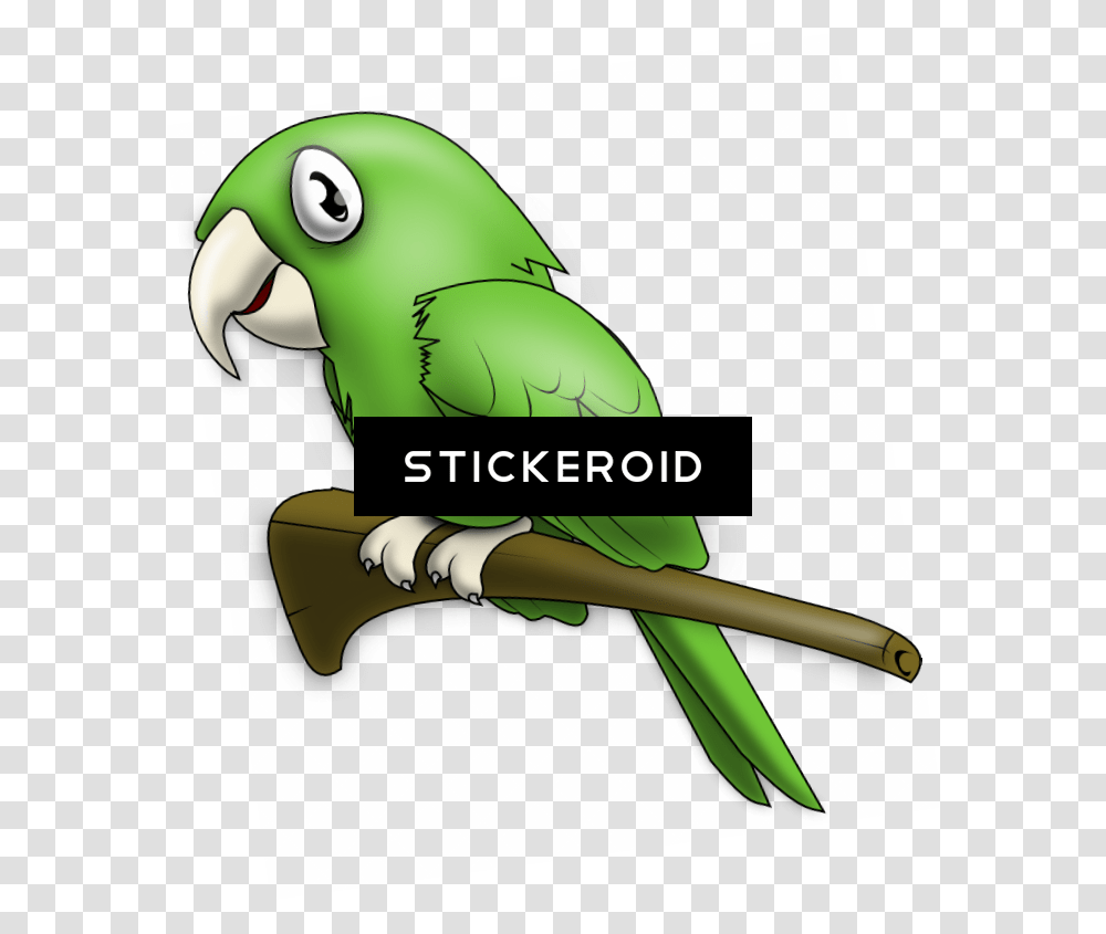 Parrot Clipart, Bird, Animal, Helmet Transparent Png