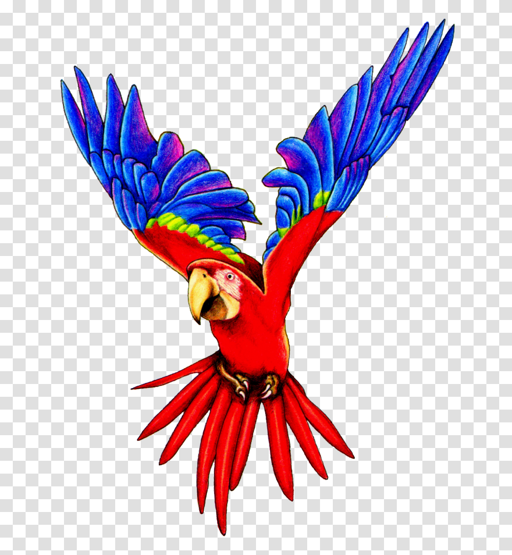 Parrot Clipart, Bird, Animal, Macaw Transparent Png