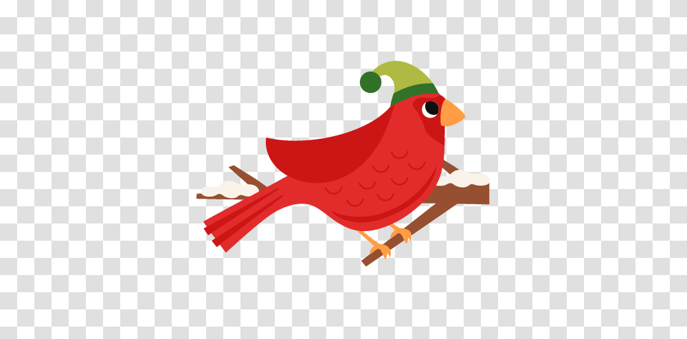 Parrot Clipart Christmas Free Free Christmas Bird Clipart, Animal, Finch, Cardinal, Canary Transparent Png