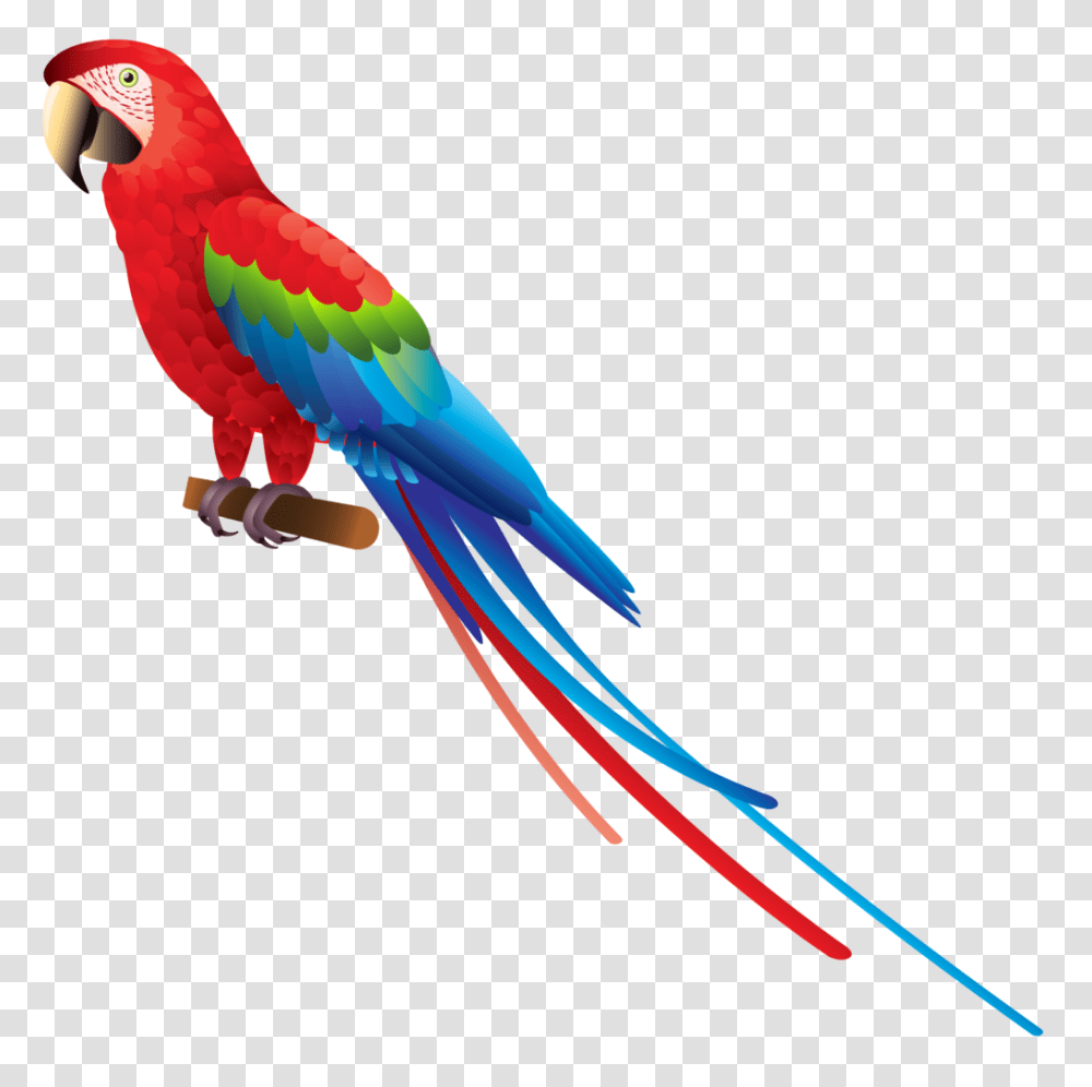 Parrot Clipart Clip Art, Macaw, Bird, Animal Transparent Png