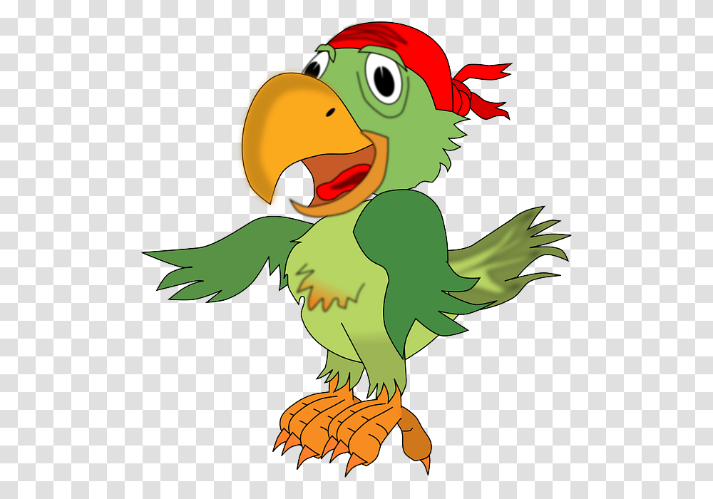 Parrot Clipart Loro, Bird, Animal, Beak, Puffin Transparent Png