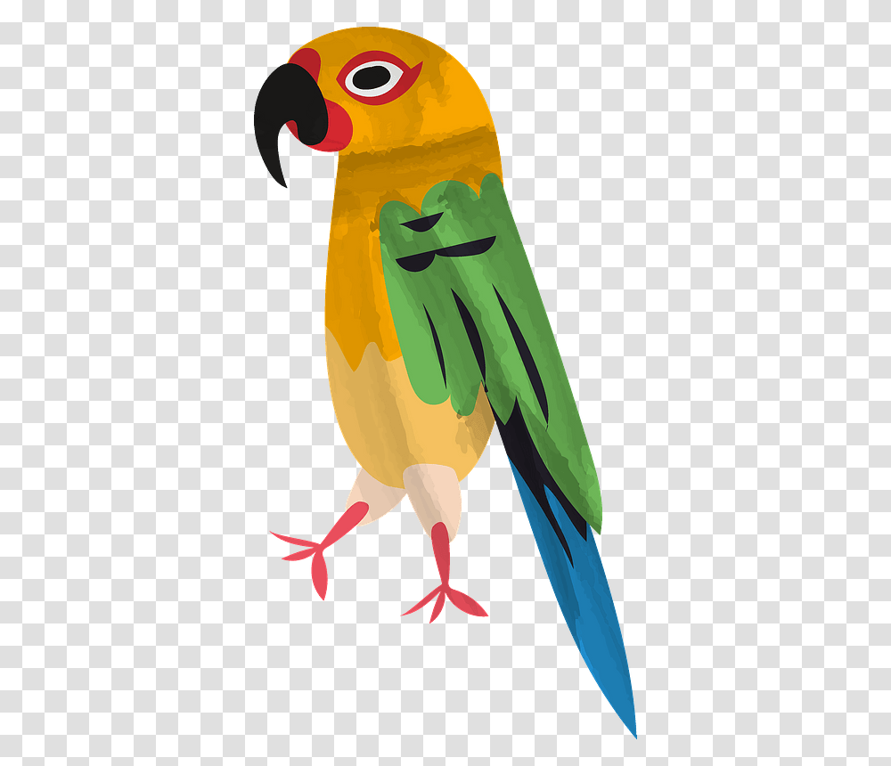 Parrot Clipart Macaw, Animal, Bird, Jay, Parakeet Transparent Png