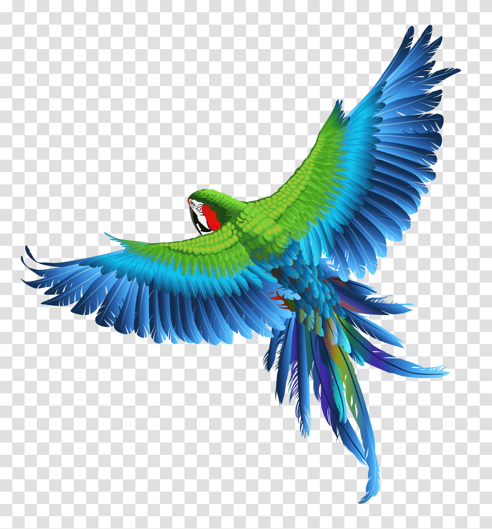 Parrot Clipart Picture Birds Images Hd, Animal, Flying, Macaw Transparent Png