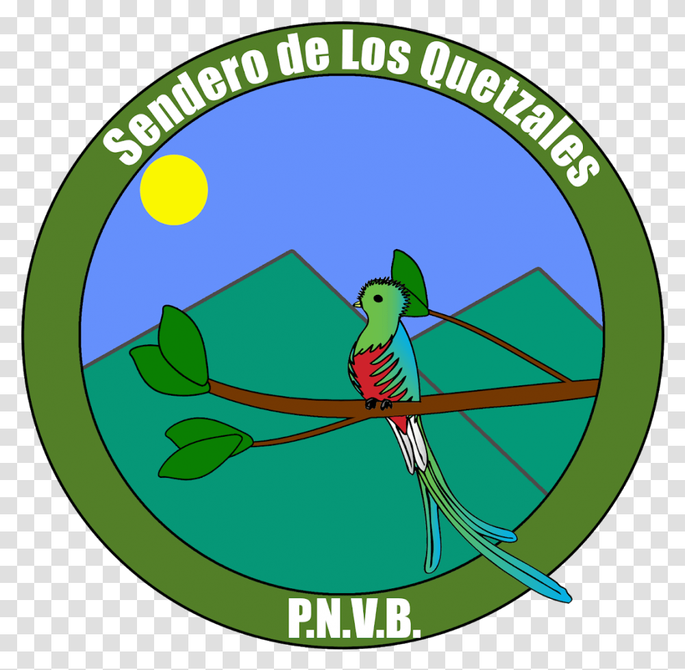 Parrot Clipart Quetzal Bird Picture 1831552 Blue Peace Sign, Animal, Symbol, Logo, Trademark Transparent Png