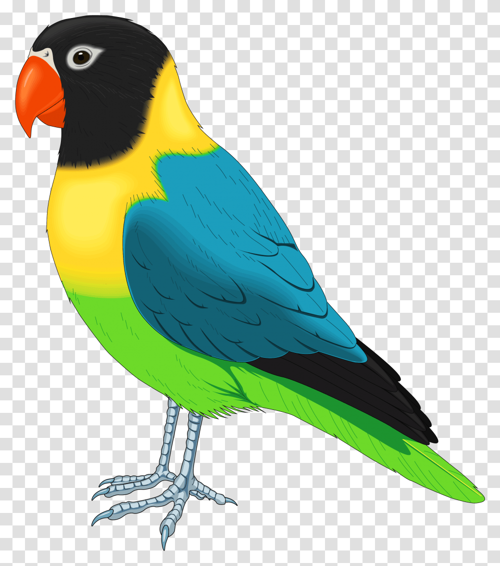 Parrot Colourful & Clipart Free Bird Clipart, Animal, Beak, Finch, Jay Transparent Png