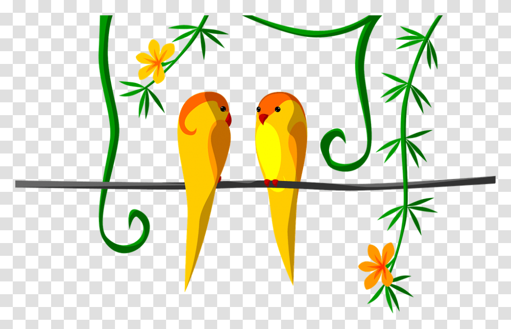 Parrot Couple Jungle Tropical Orange Bright Budgie, Plant, Carrot, Vegetable, Food Transparent Png