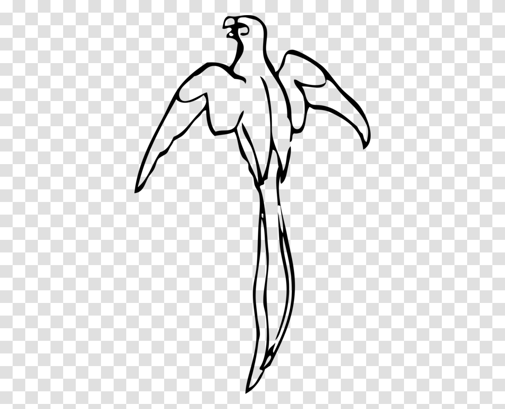 Parrot Drawing Bird Macaw Black And White, Gray, World Of Warcraft Transparent Png