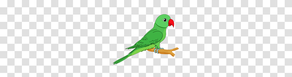 Parrot Images And Clipart Free Download, Parakeet, Bird, Animal Transparent Png