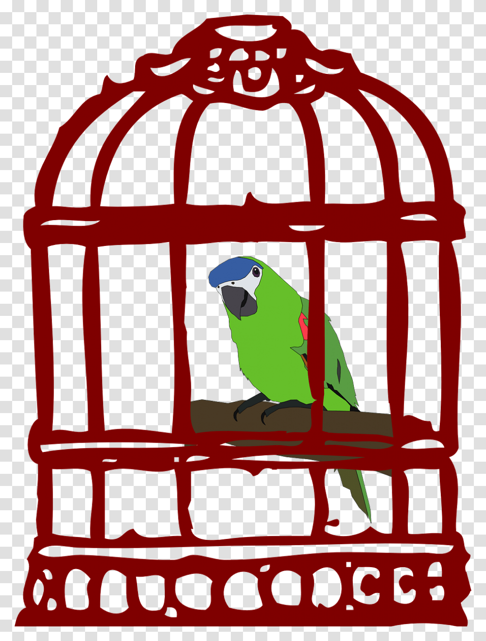 Parrot In The Cage, Animal, Bird, Macaw, Parakeet Transparent Png