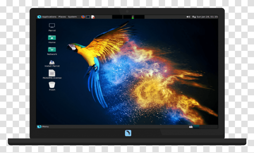 Parrot Linux, Monitor, Screen, Electronics, Display Transparent Png