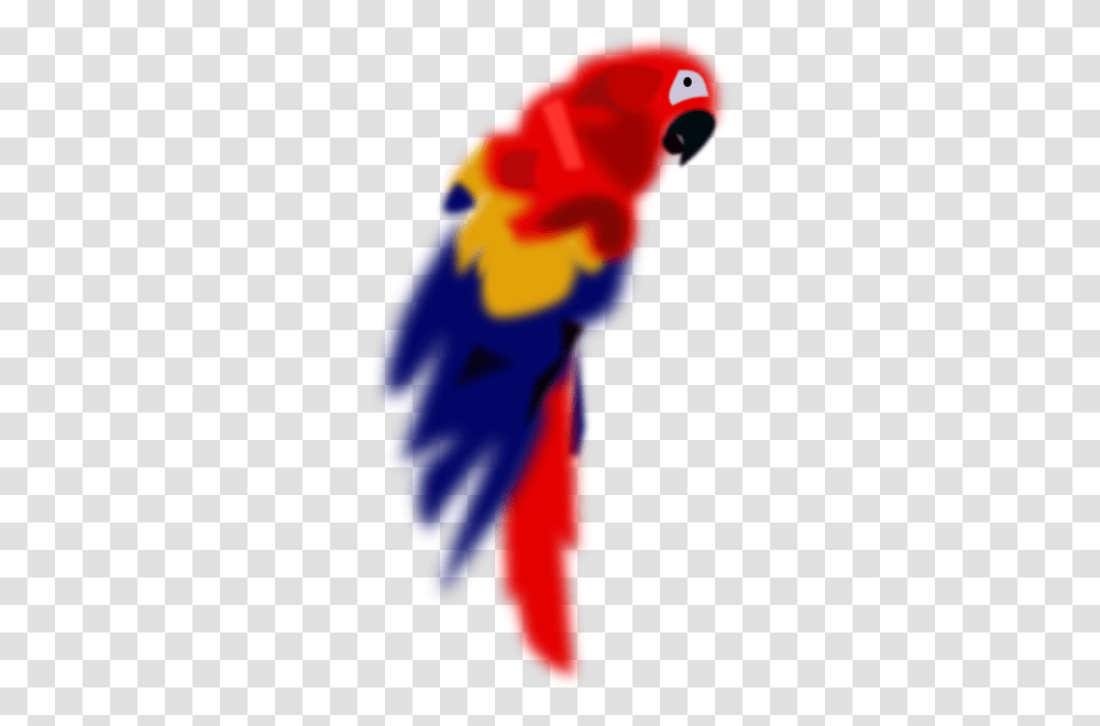 Parrot Macaw Arara Clip Art, Person, Face, People Transparent Png