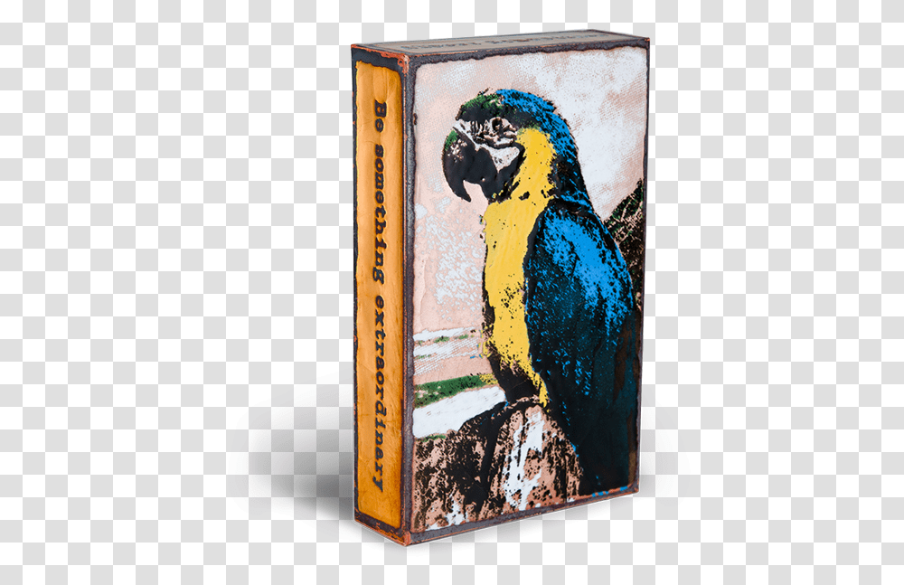 Parrot Macaw, Bird, Animal, Art, Painting Transparent Png