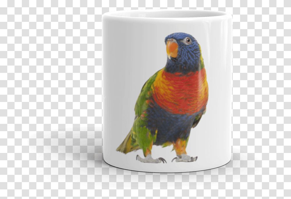 Parrot Mug Lorikeet, Bird, Animal, Macaw, Chicken Transparent Png