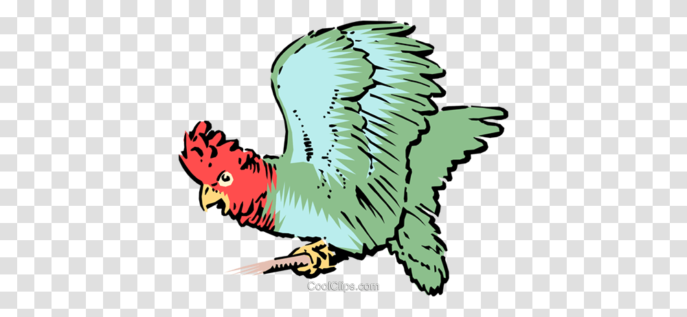 Parrot Royalty Free Vector Clip Art Illustration, Animal, Bird, Beak Transparent Png