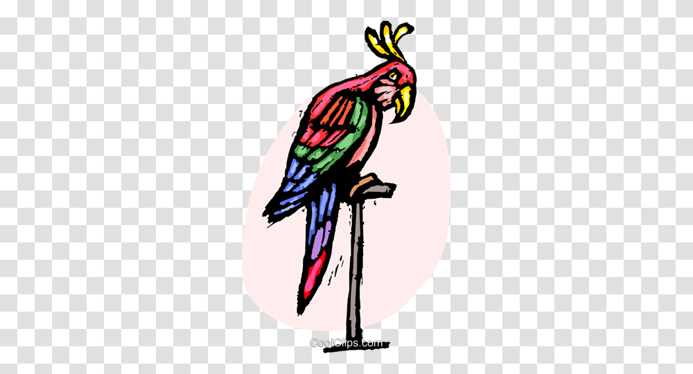 Parrot Royalty Free Vector Clip Art Illustration, Macaw, Bird, Animal, Cockatoo Transparent Png