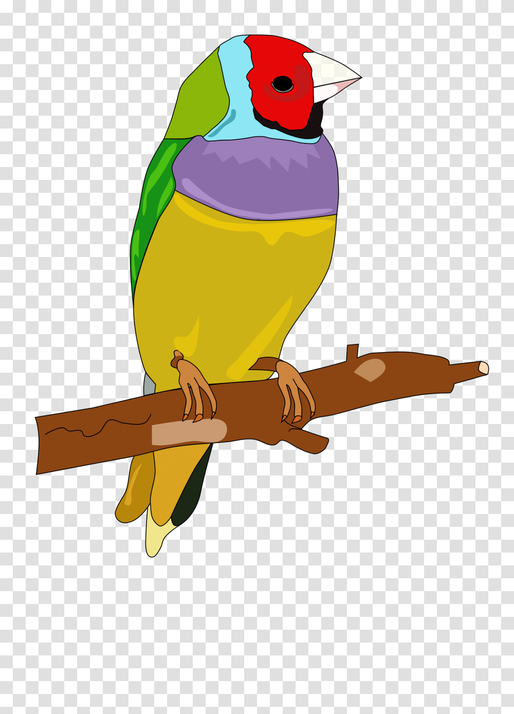 Parrot Toy Cliparts, Bird, Animal, Beak, Parakeet Transparent Png