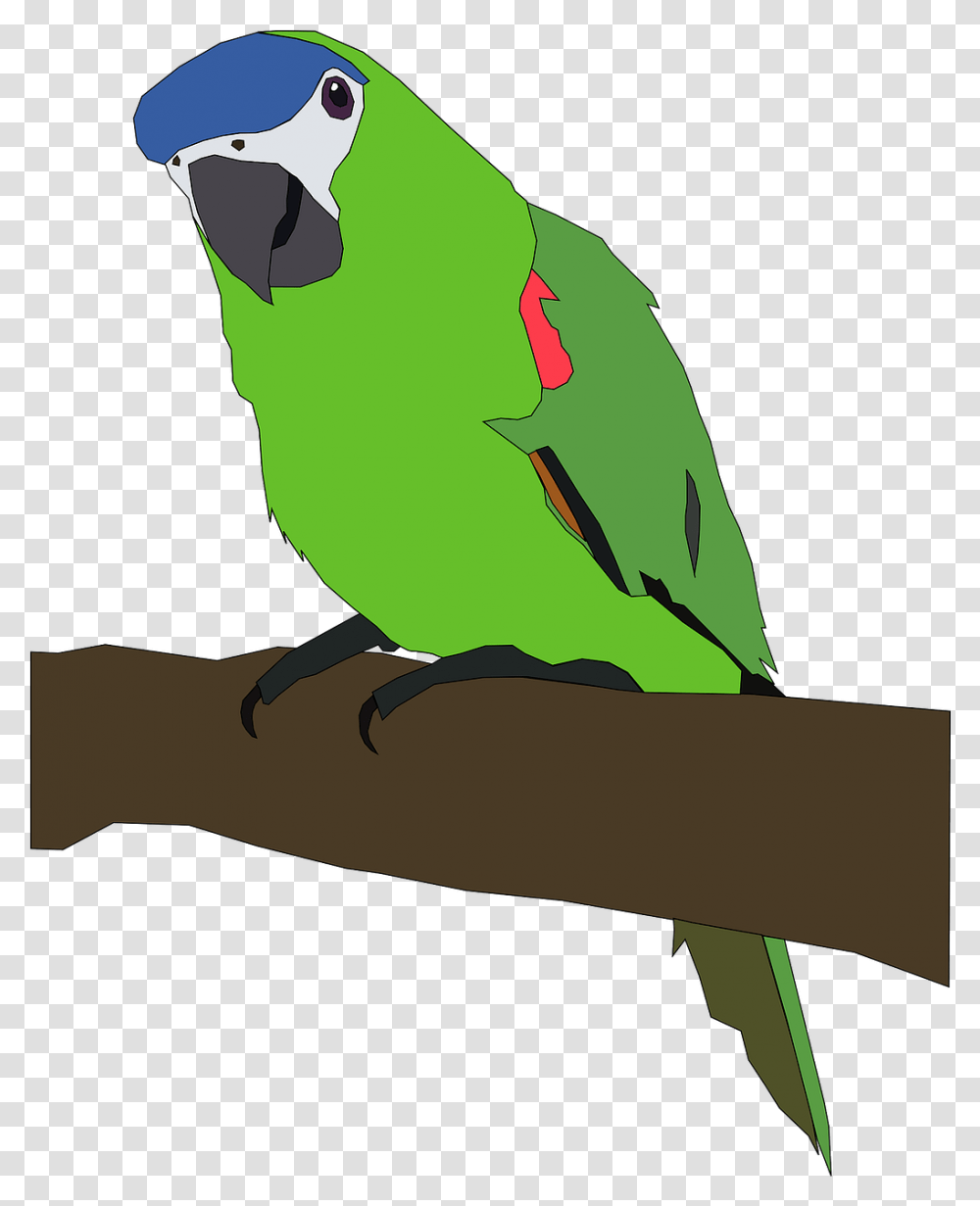 Parrot Tropical Bird Parrot Clip Art, Animal, Parakeet Transparent Png