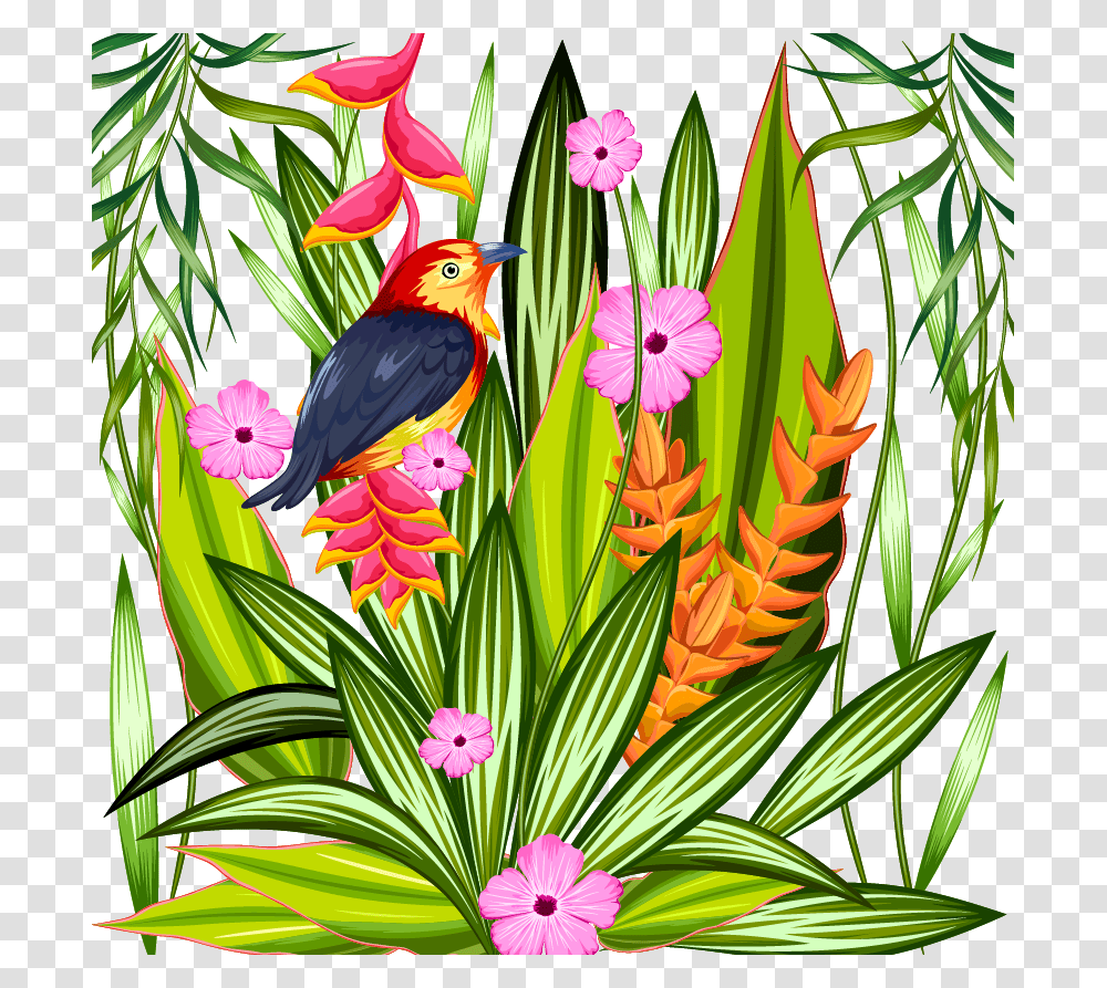 Parrot Tropics Tropical Rainforest Illustration, Bird, Animal Transparent Png