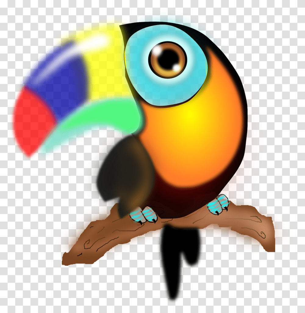 Parrot With Colorful Beak, Bird, Animal, Toucan, Dodo Transparent Png