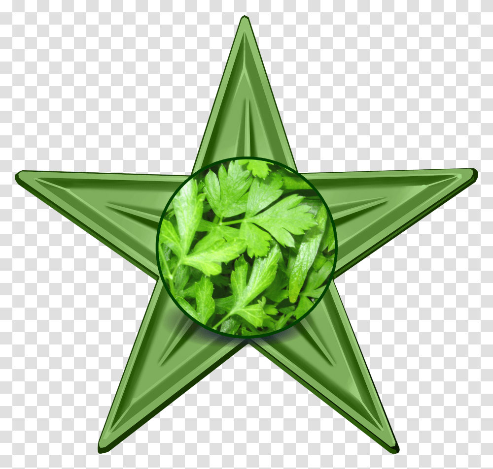 Parsley Barnstar, Star Symbol Transparent Png