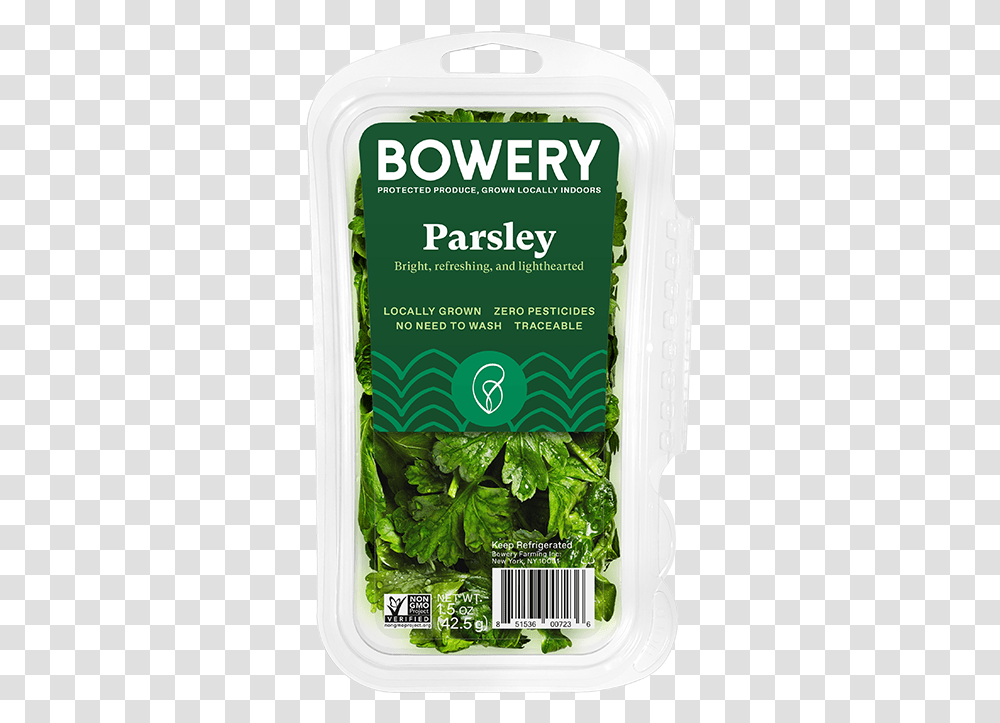 Parsley Coriander, Potted Plant, Vase, Jar, Pottery Transparent Png