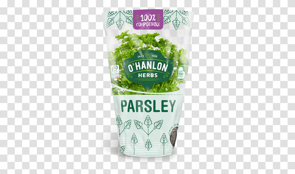 Parsley Herb Coriander, Plant, Vegetable, Food, Produce Transparent Png