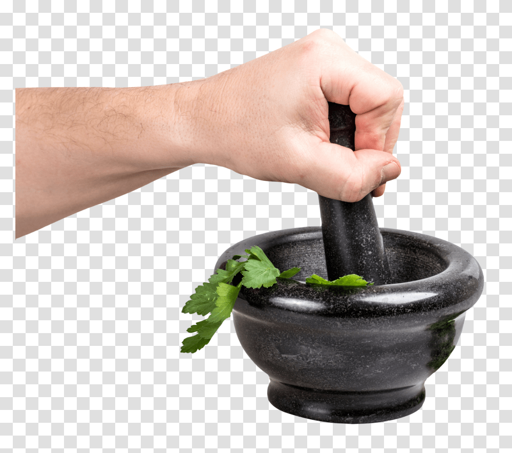 Parsley In Bowl Image, Food, Person, Human, Cannon Transparent Png