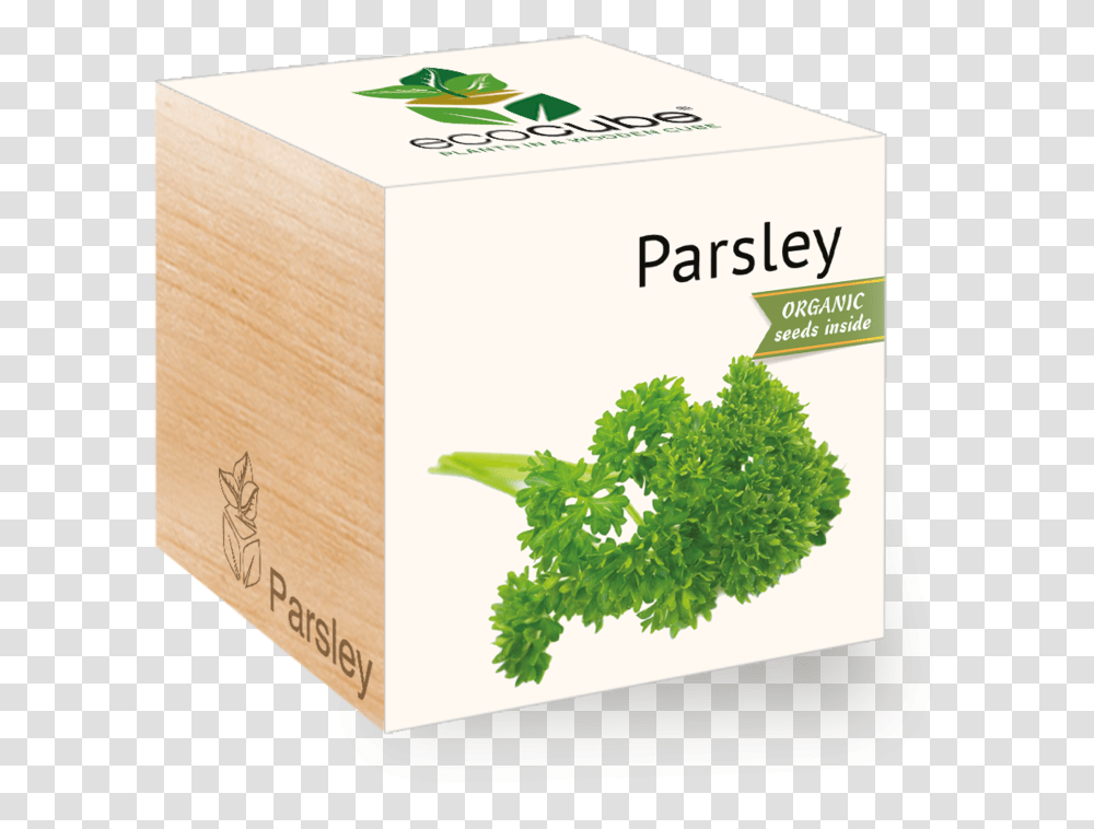 Parsley Packaging Of Rosemary, Vase, Jar, Pottery, Plant Transparent Png