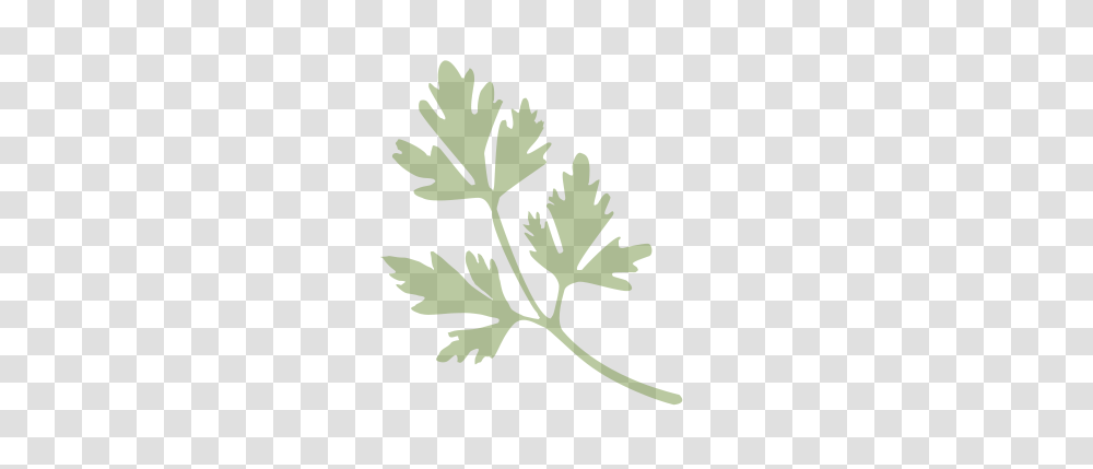 Parsley The Lills, Green, Grass, Plant, Rug Transparent Png