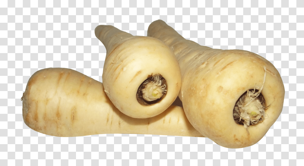 Parsnip, Vegetable, Produce, Food, Plant Transparent Png