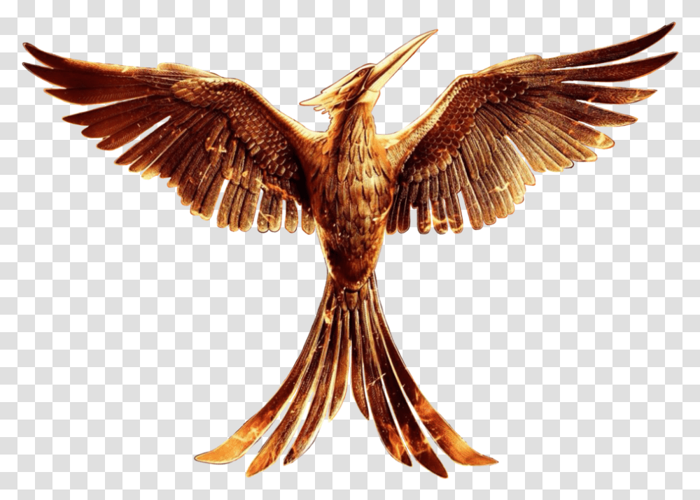 Part 1 Mockingbird Logo Hunger Games Full Size Mockingjay, Animal, Kite Bird, Vulture, Hawk Transparent Png