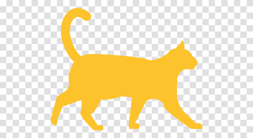 Part 2 Feline Eye Disease Often Overlooked Orange County Cat Silhouette Background, Animal, Label, Text, Mammal Transparent Png